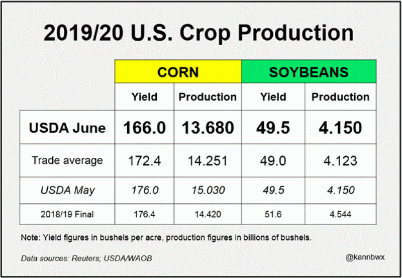061219corn1