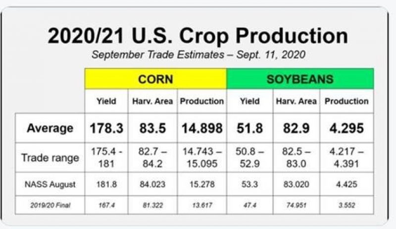 09112020 grain chart 2