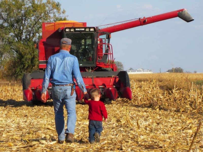 Farmer and a child walking toward a combine during harvest season