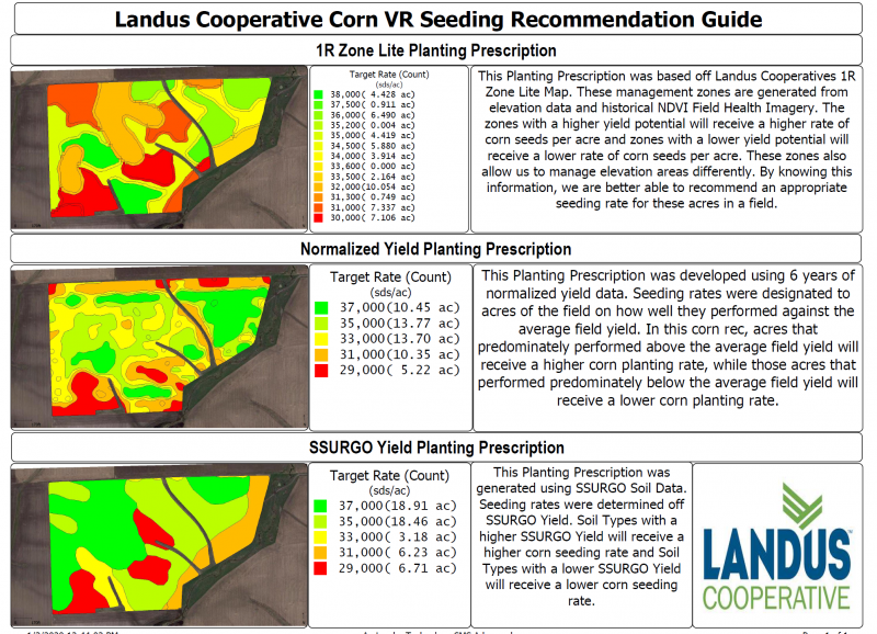 Corn Options