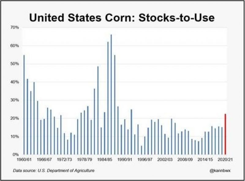Corn Stocks