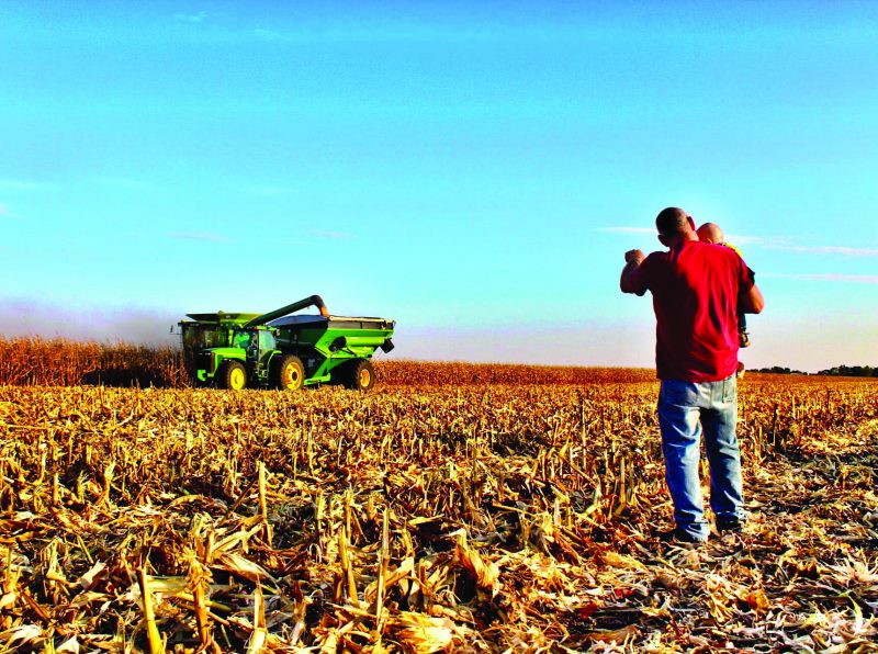 Dadand Son During Harvest