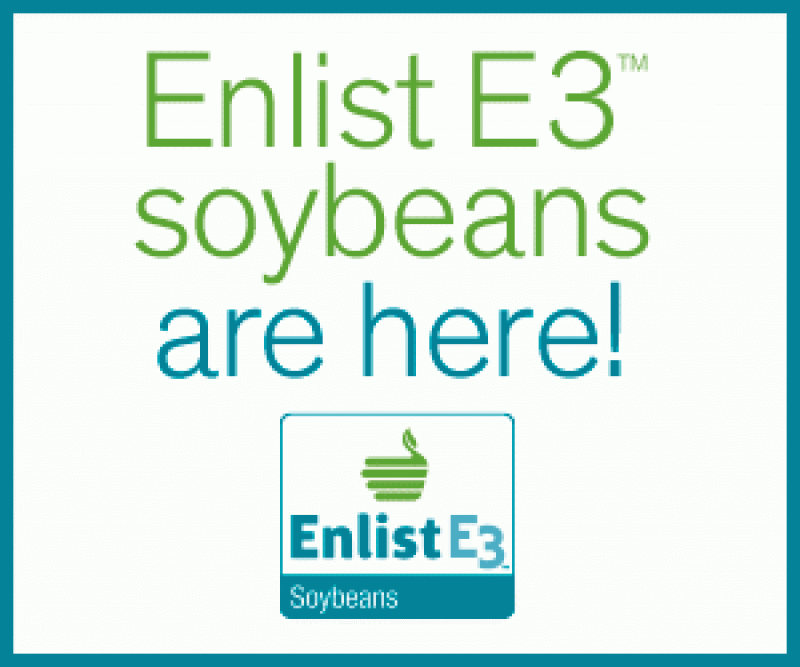 Enlist E3 Soybean Templated Digital Ads 300x250 C