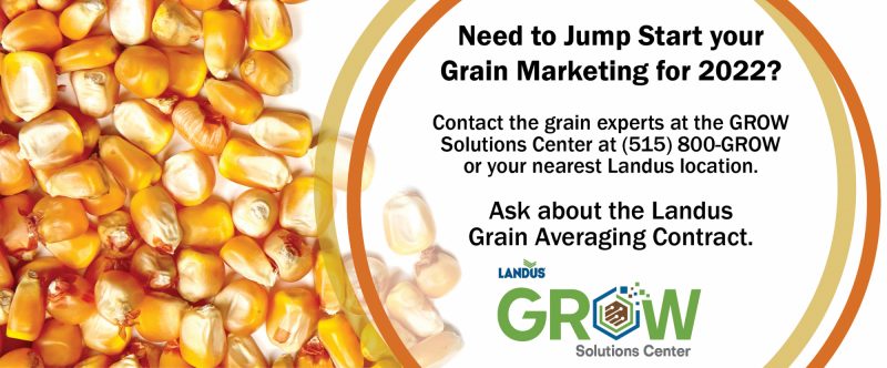 Grain Marketing Avg Contract Twitter vf