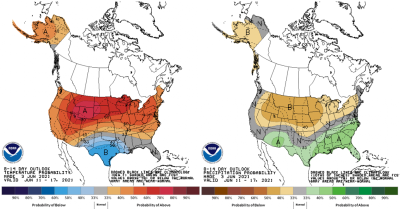 June 4 Map 2