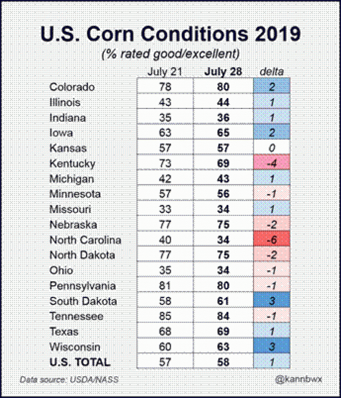 Corn 073019