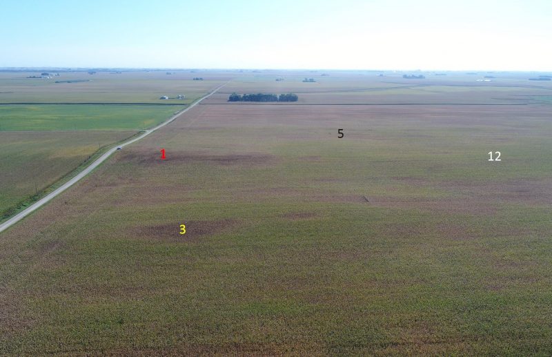 Drone image 1