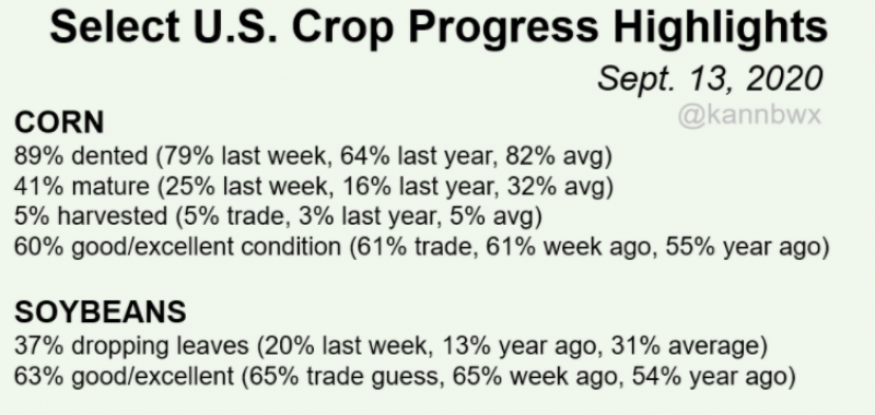 Grain comments 9 15 20