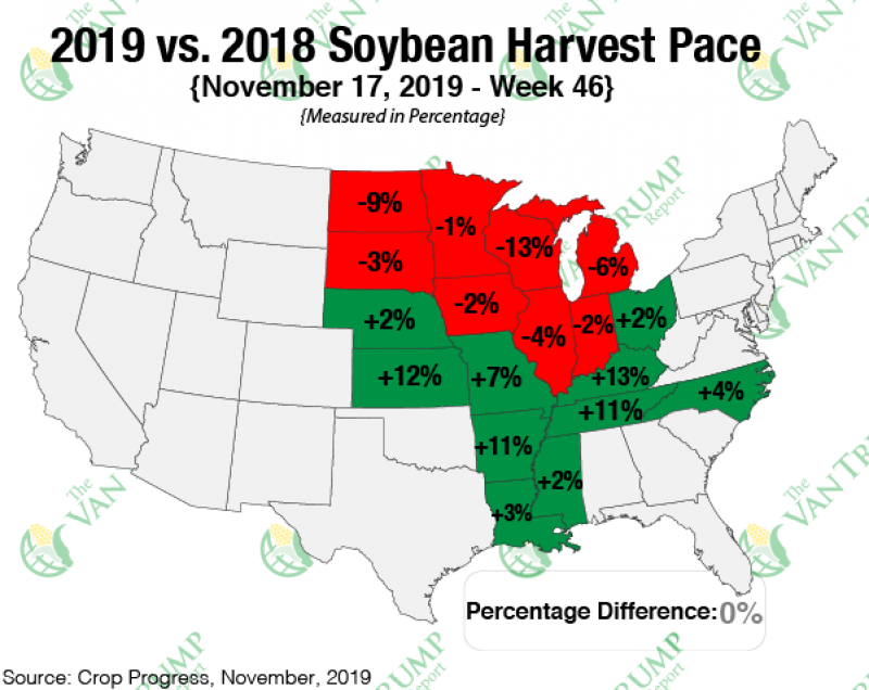 Grain comments harvest pace beans 112019