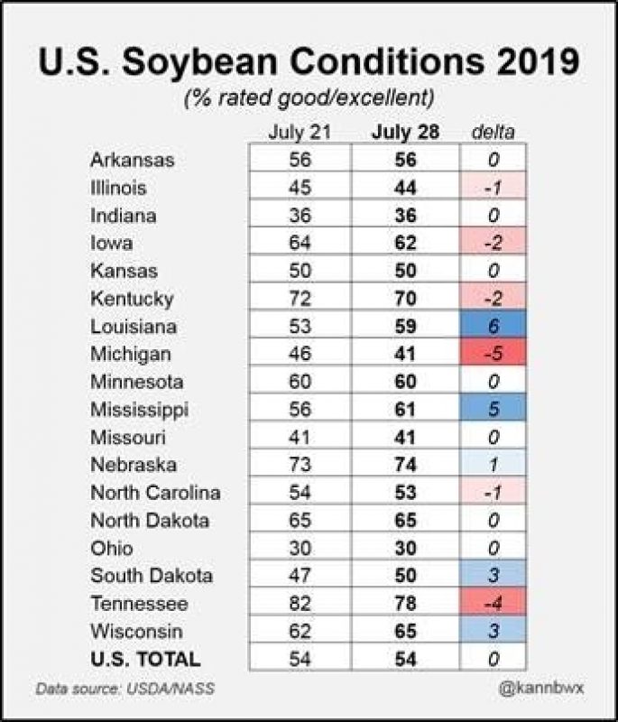 Soybean 073019