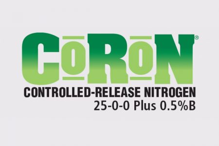 Coron