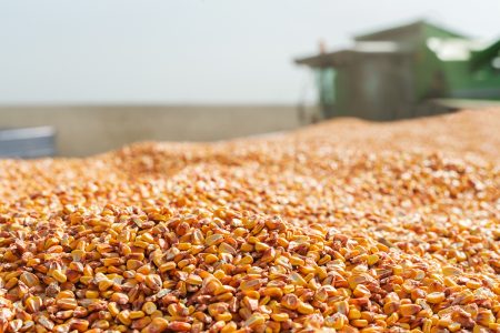 Grain Commentary Act On 041221 vf