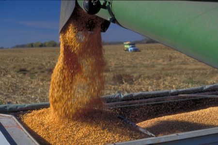 Grain Market Commentary Act On 031221 vf