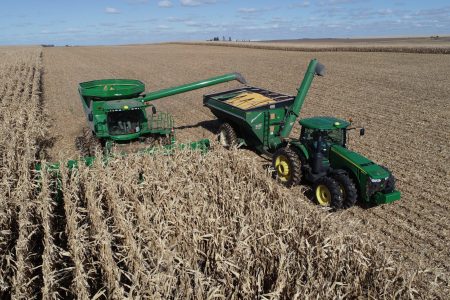 Bradford latimer plot harvest