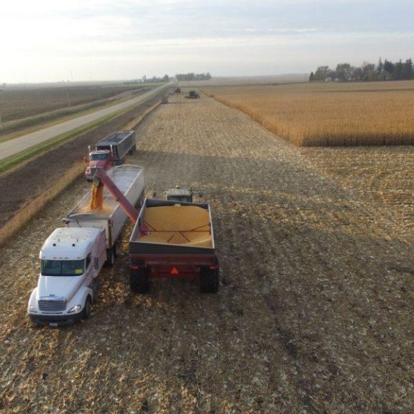 Harvest Homestretch
