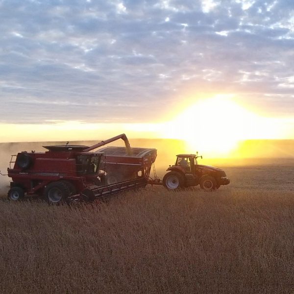Grain Podcast